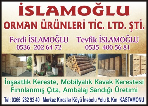 kastamonu agac ve yan urunleri kereste orman urunleri kastamonu birlik ajans biz isimizi seviyoruz kastamonu orman urunleri toptan satisi kastamonu orman urunleri satan firmalar orman urunleri satan yerler kastamonu