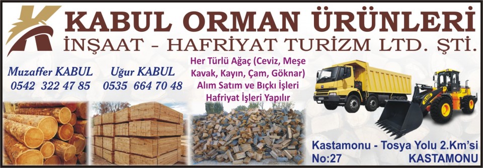 kastamonu agac ve yan urunleri kereste orman urunleri kastamonu birlik ajans biz isimizi seviyoruz kastamonu orman urunleri toptan satisi kastamonu orman urunleri satan firmalar orman urunleri satan yerler kastamonu