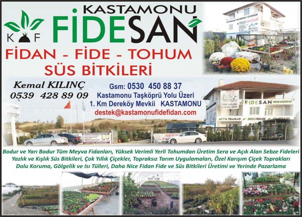 birlik ajans